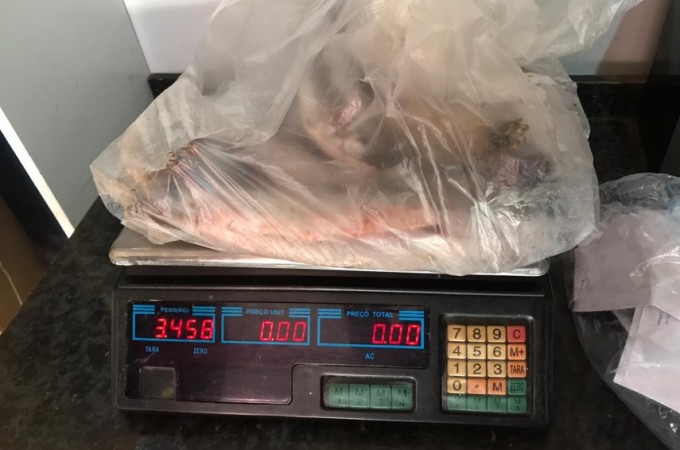 Ibitinga: PM Ambiental apreende 3,5 kg de peixes e aplica multa 