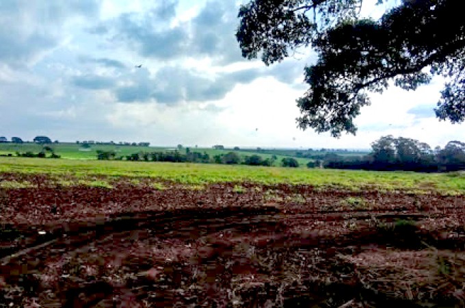 Prazo do Cadastro Ambiental Rural termina dia 31/12/20