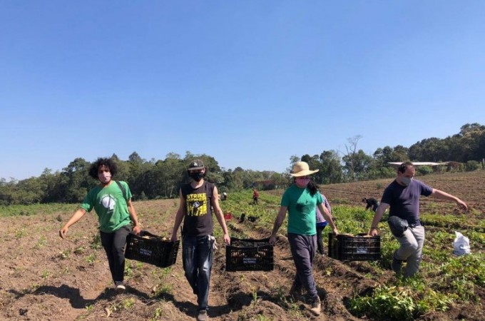 Deputados aprovaram socorro a pequenos agricultores durante pandemia
