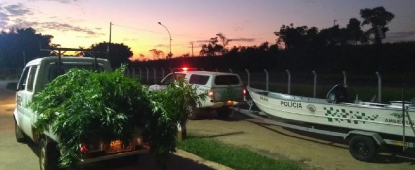 pm-apreende-320-kg-de-maconha-nas-margens-do-rio-jacare-guacu