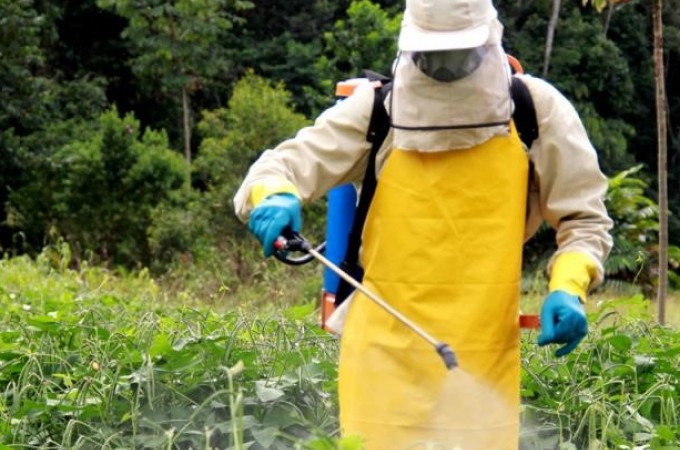 Sindicato Rural alerta sobre o uso de agrotxico
