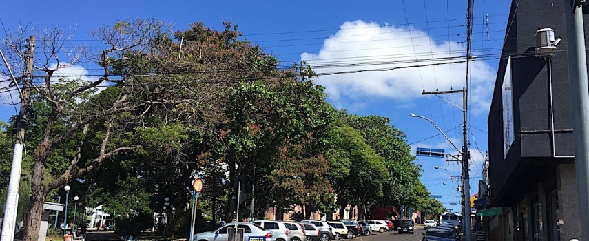 atendimento-presencial-em-restaurantes-e-bares-volta-no-dia-24