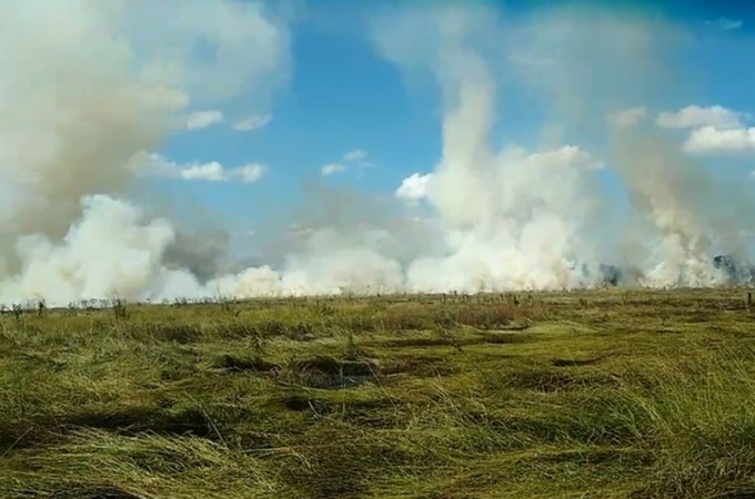 Inc�ndio atinge terreno e mobiliza bombeiros em Ibitinga