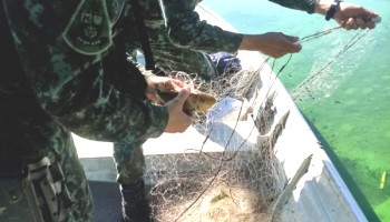 rio-tiete-pm-ambiental-autua-pescadores-em-rs-52-mil