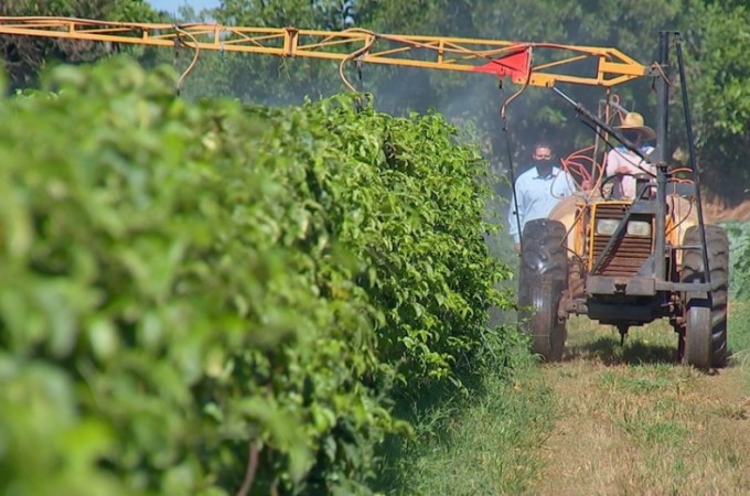 Agricultores investem em bioinsumos para produo de orgnicos