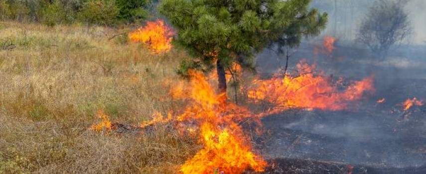 capacitacao-gratuita-de-combate-a-incendios-florestais-sera-no-dia-7