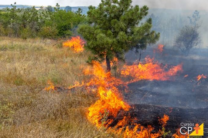 Capacitao gratuita de combate a incndios florestais ser no dia 7