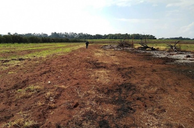 PM Ambiental: Opera��o Huracan II registra redu��o de queimadas