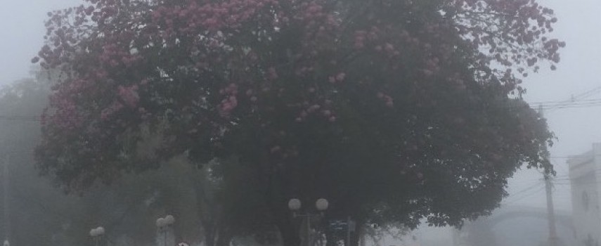 defesa-civil-alerta-para-baixas-temperaturas-no-interior-de-sp