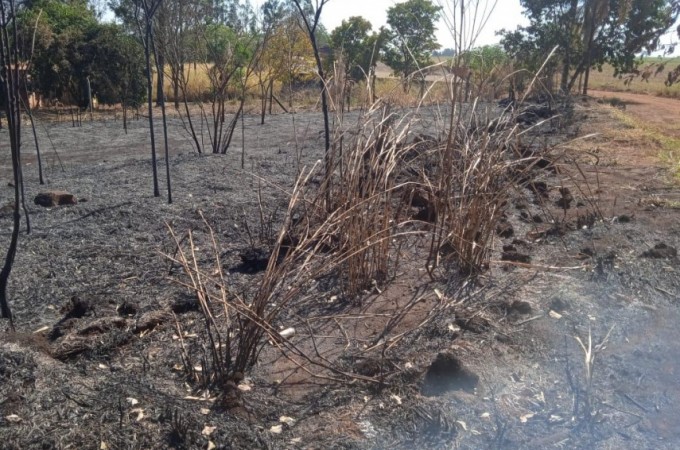 PM Ambiental aplicou multa devido a inc�ndio em vegeta��o