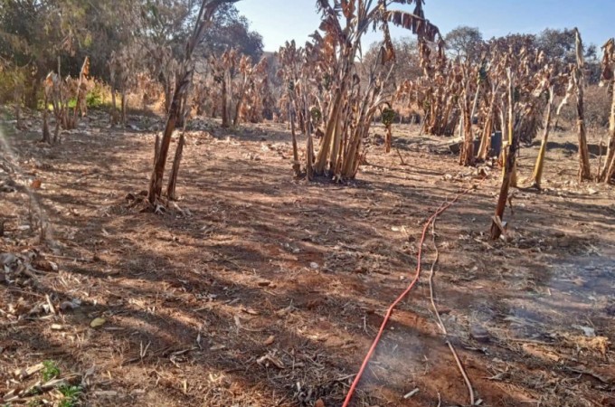 PM Ambiental de Ibitinga aplica multa por desmatamento Irregular