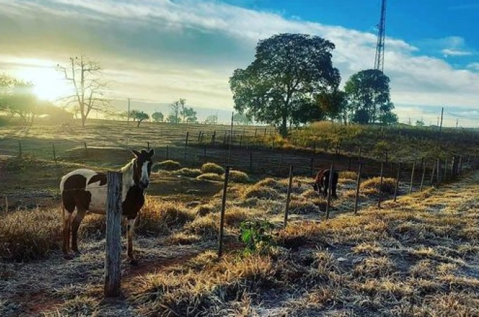 FRIO: Ibitinga registrou temperaturas abaixo de 0C