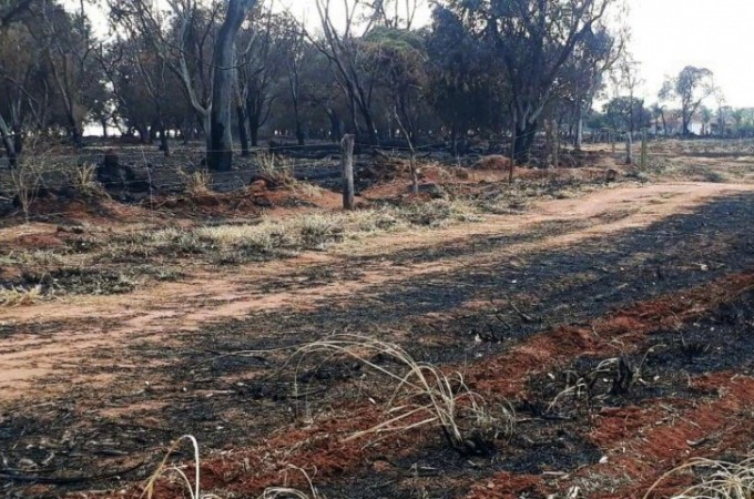 Propriedade rural � multada em mais de R$ 100 mil por queimada