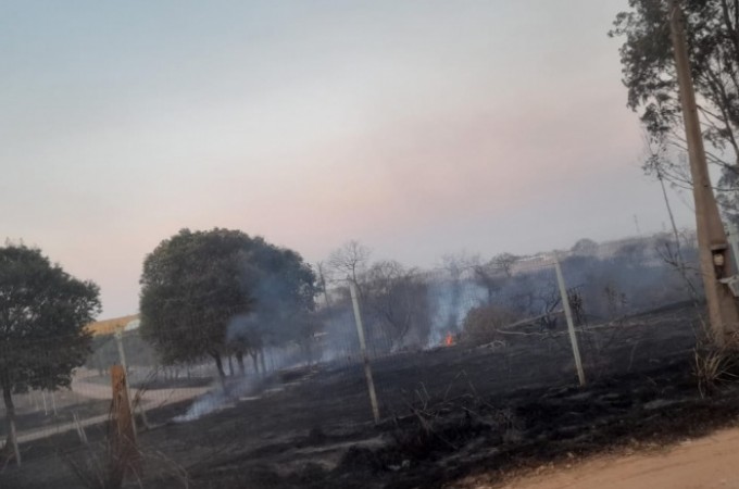 Inc�ndio consome grande �rea de planta��es e �rea de preserva��o 