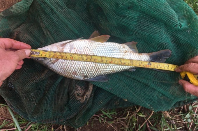 It�polis: PM Ambiental identifica pesca irregular ap�s den�ncia