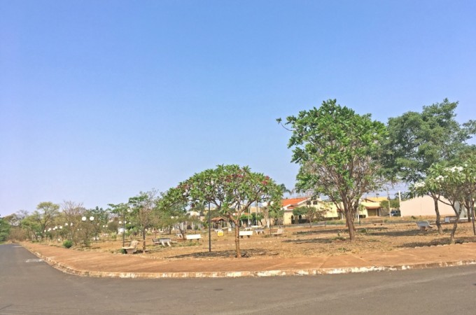 Moradores cultivam rvores frutferas em praa do Jd. Almira