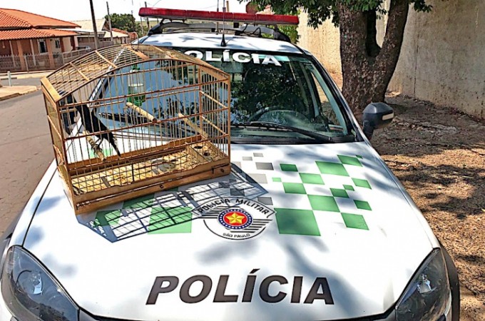 PM Ambiental aplica multa para criador de p�ssaro silvestre 