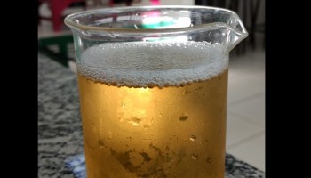 pesquisadora-da-unesp-de-araraquara-cria-cerveja-saudavel