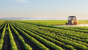 agronegocio-brasileiro-bate-recorde-de-exportacoes
