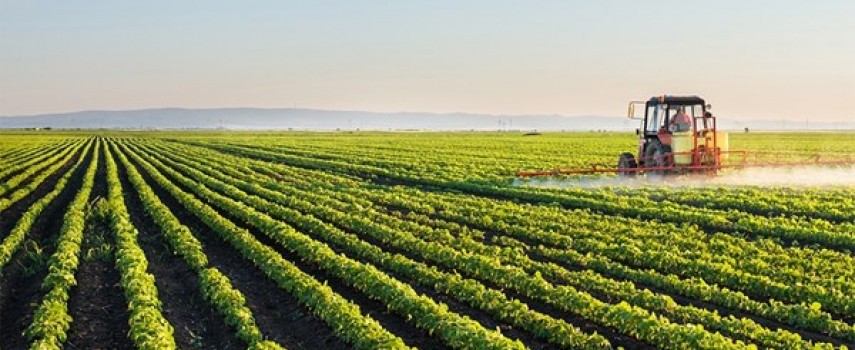 agronegocio-brasileiro-bate-recorde-de-exportacoes