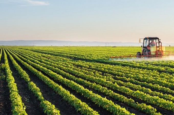 Agronegcio brasileiro bate recorde de exportaes