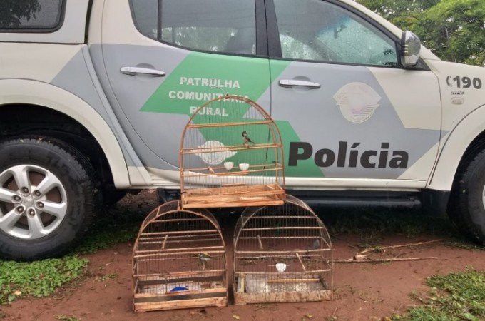 PM Ambiental flagra casal com p�ssaros silvestres