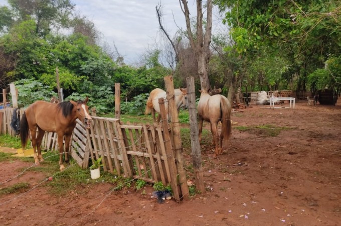 PM Ambiental aplica multa por uso indevido de �rea de vegeta��o