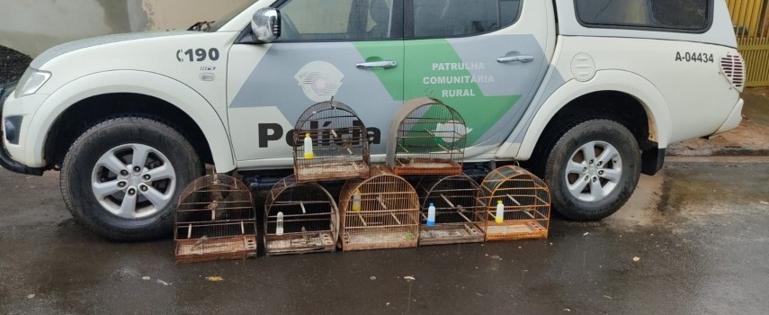 pm-ambiental-aplica-multa-de-rs-4-mil-por-crime-ambiental