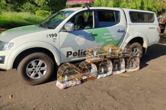 PM Ambiental aplica multa de R$ 4 mil ap�s den�ncia