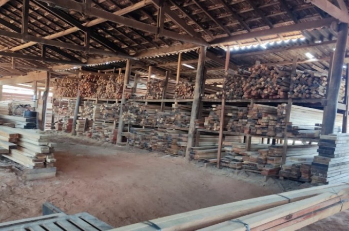 It�polis: Madeireira � multada pela PM Ambiental