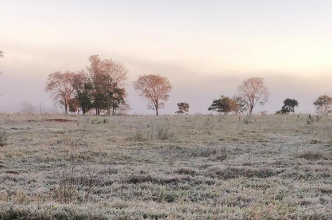 Brasil ter semana de frio intenso a partir do dia 16