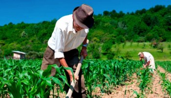 sindicato-rural-faz-homenagem-ao-trabalhador-rural