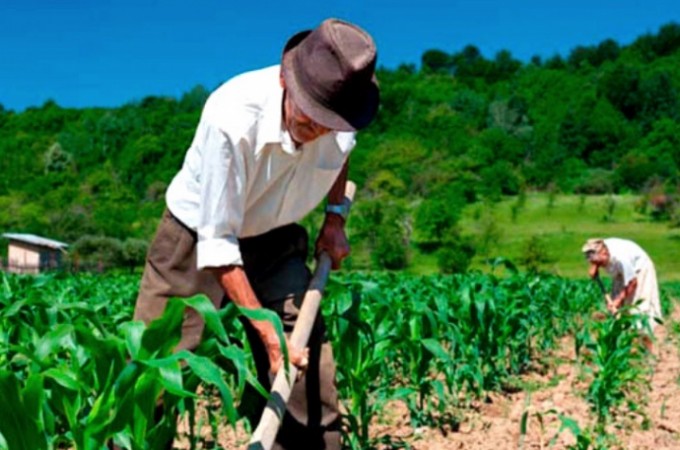 Sindicato Rural faz homenagem ao trabalhador rural