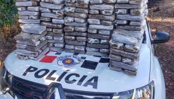 pm-apreende-tijolos-de-maconha-as-margens-de-rodovia-em-itapolis