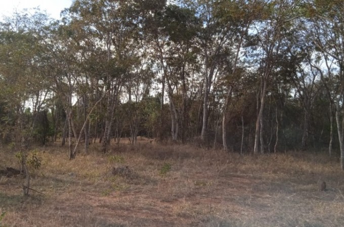 It�polis: PM Ambiental aplica multa de R$ 77 mil por degrada��o