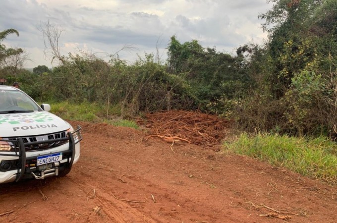 PM Ambiental aplica multa de R$ 32 mil por corte de rvores nativa