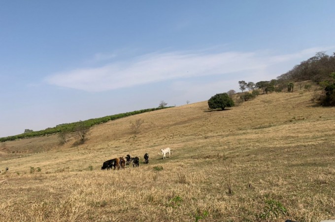 PM Ambiental aplica multa de R$ 421 mil por degradao