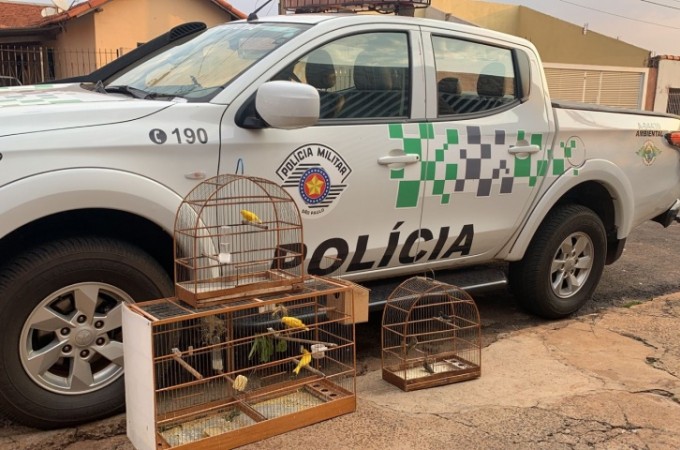 PM Ambiental apreende p�ssaros e aplica multa no Jd. Paineiras