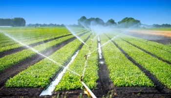 produtor-rural-prazo-para-desconto-em-energia-segue-ate-o-dia-3011