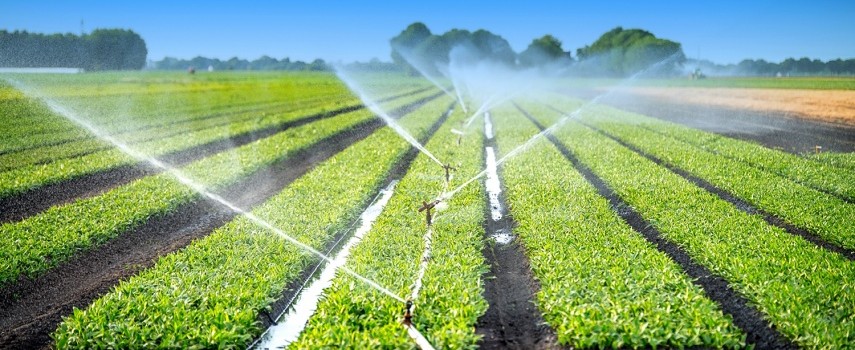 produtor-rural-prazo-para-desconto-em-energia-segue-ate-o-dia-3011
