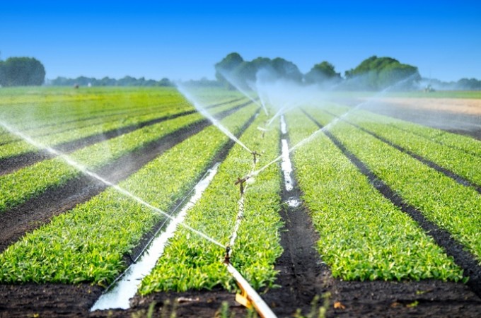 Produtor Rural: Prazo para desconto em energia segue at o dia 30/11
