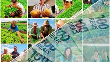 proposta-faesp-visa-retomada-de-linha-de-credito-ao-pequeno-produtor
