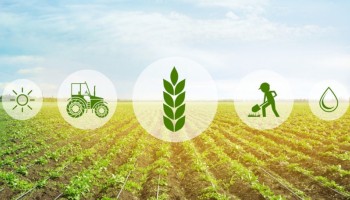 faesp-divulga-balanco-de-2022-e-projecoes-para-2023