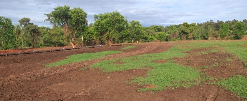 pm-ambiental-aplica-multa-de-rs-32-mil-por-degradacao-de-mata