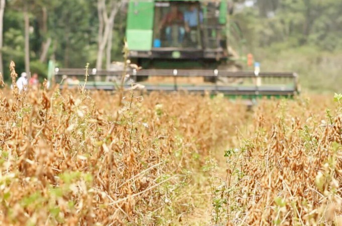 Agronegcio deve ter maior crescimento em 5 anos