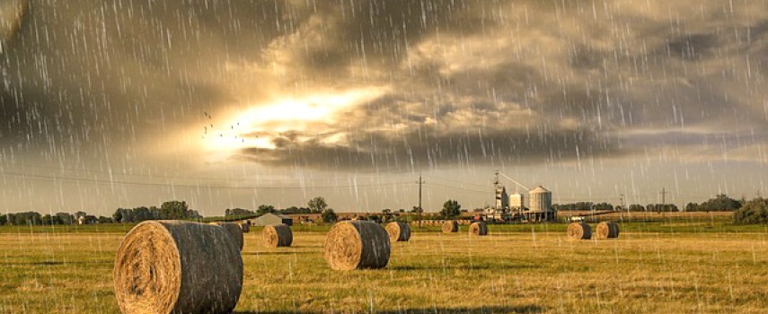 boas-perspectivas-para-agricultura-apos-inicio-de-ano-com-chuva