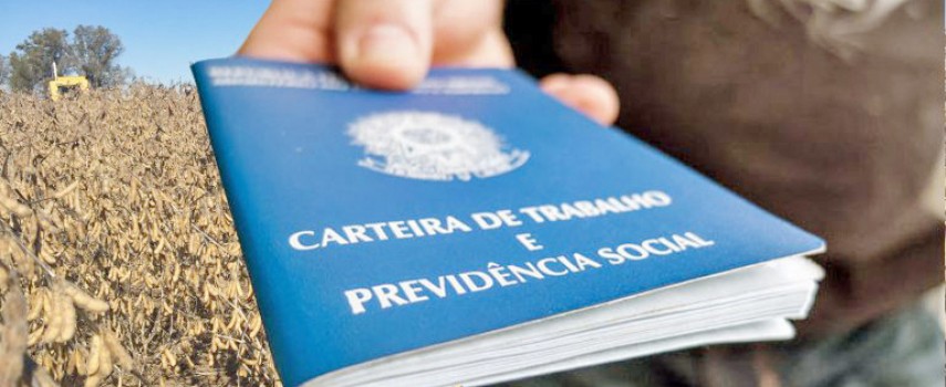 geracao-de-emprego-agronegocio-tem-saldo-de-23-mil-vagas-em-janeiro