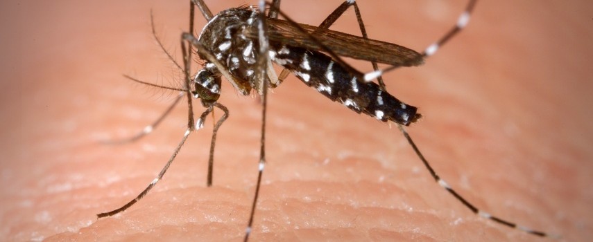 itapolis-confirmou-2a-morte-por-dengue-em-2023