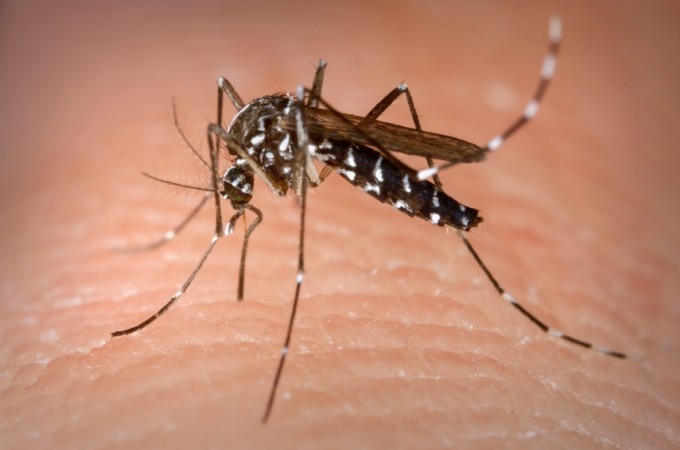  Itpolis confirmou 2 morte por dengue em 2023