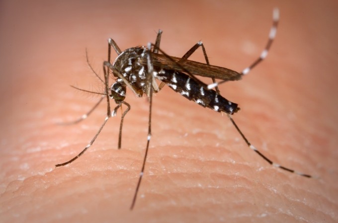  It�polis confirmou 2� morte por dengue em 2023